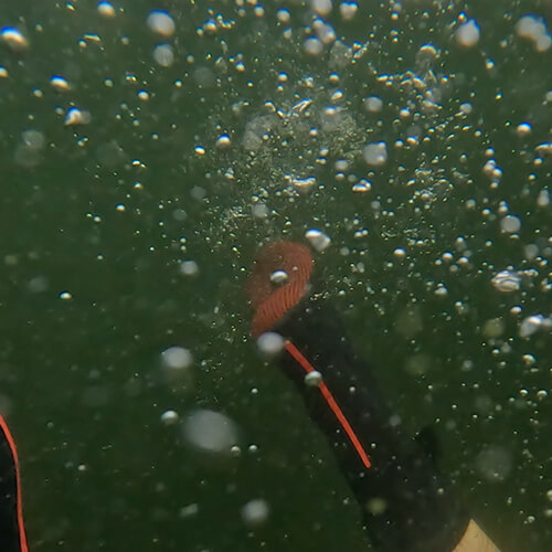 Swim Windermere Underwater