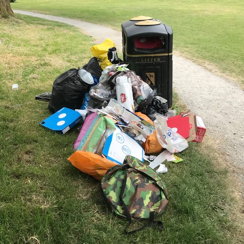 Bins Rayrigg Meadow