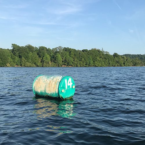 Buoy 14 Windermere